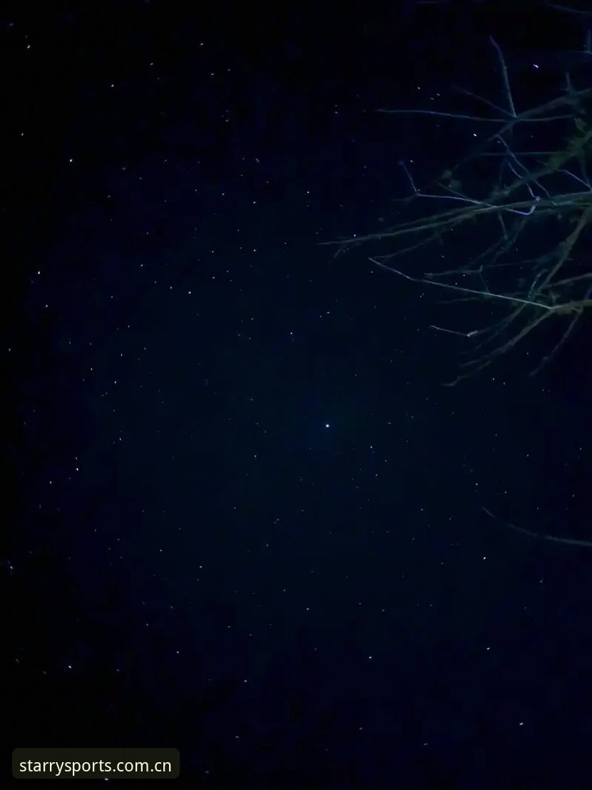 星空体育登录 如何快速完成星空体育登录?实战派三步法助你畅享赛事数据